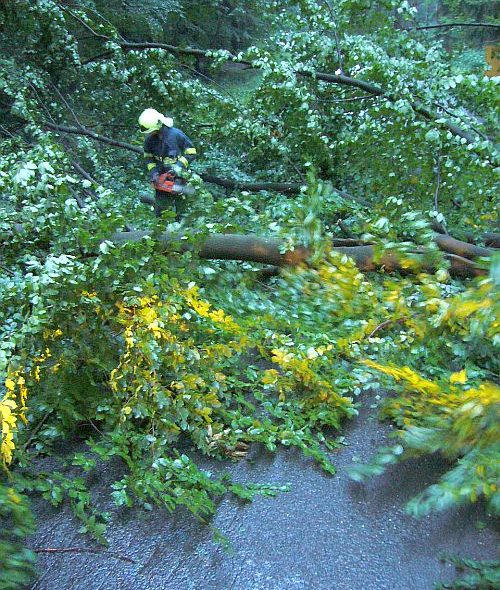 Hasiči likvidují spadené stromy po bouřce.