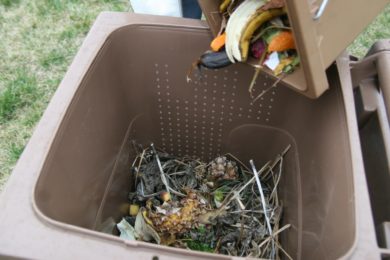 Speciální popelnice na bioodpad si obyvatelé Neředína za několik měsíců oblíbili.
