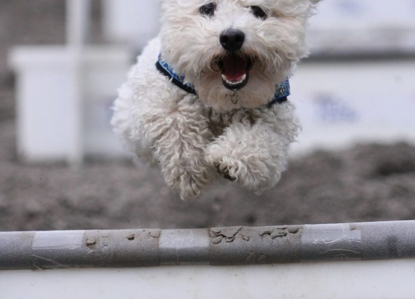 4661_mediafaxfoto.cz_Michal_Kalasek