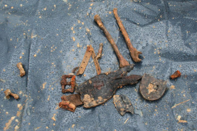 Část kosterních pozůstatků z hrobu na staveništi. 