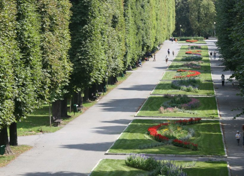 Rudolfova alej ve Smetanových sadech je mezi Olomoučany velmi oblíbená.