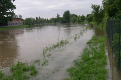 Řeka Morava v olomoucké části Nové Sady zaplavila zahrádkářskou kolonii. 