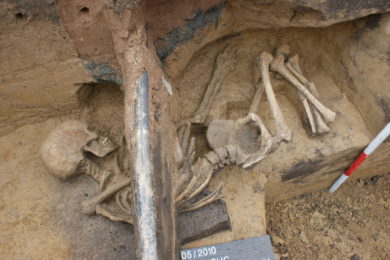 Kostra z doby platěnické kultury, nalezená v odpadní jámě pravěkého sídliště na okraji Olomouce. 