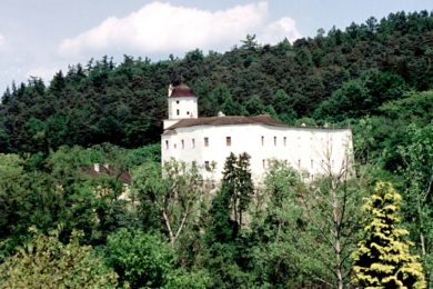 Pohled na hrad Malenovice.