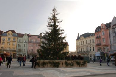 Vánoční strom na ostravském Masarykově náměstí. 