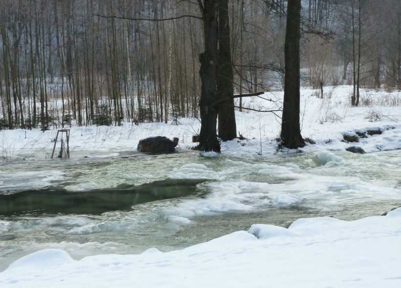 Raškov - stav hladiny zamrzlého toku nedaleko stanice Povodí Moravy.
