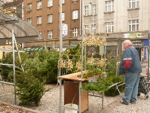 Prodej stromečků na Letenském náměstí.