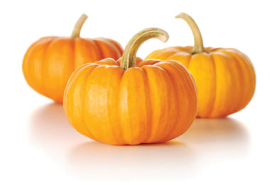 Pumpkins02