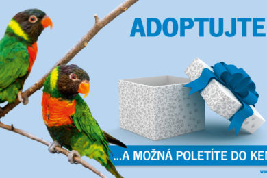 Zvířecí tváří kampaně se stali například papoušci druhu lori balijský.