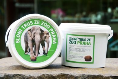 Kyblíky sloního trusu jsou v prodeji pouze v areálu Zoo Praha za cenu 70 korun