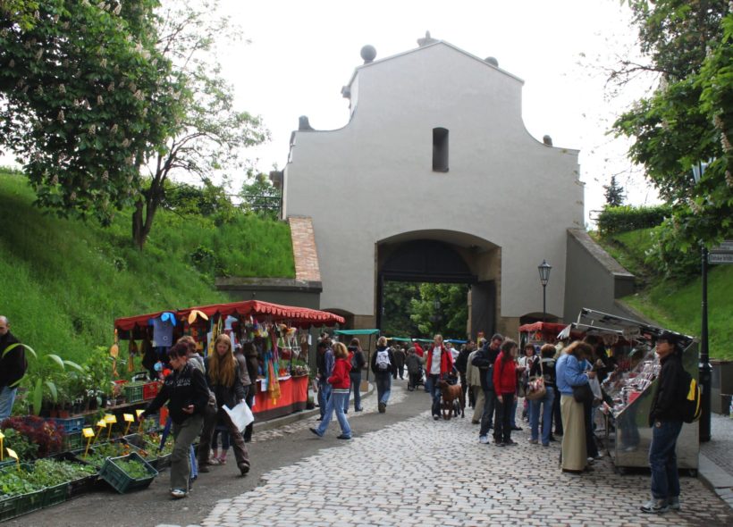 Tradiční Trhy chráněných dílen se uskuteční na Vyšehradě, kde se 17. května se svými výrobky představí přes 30 dílen z celé České republiky.