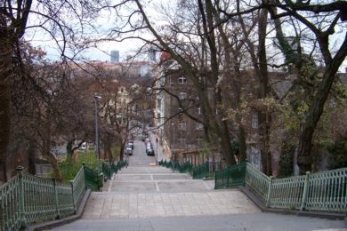 Nuselské schody spojují Šafaříkovu ulici v oblasti Zvonařky s ulicí Pod Nuselskými schody