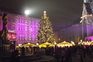 Olomouc vánoční strom - Foto Michal Folta.