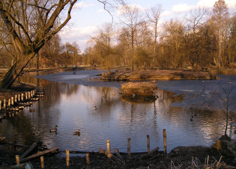 Břehy rybníků podléhají erozi a potřebují nové zpevnění.