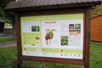 Část naučné stezky "Zahrada ve městě" vede parkem Chrpová-Malinová