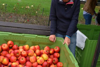 Na trhu jste mohli zakoupit přes 20 druhů jablek