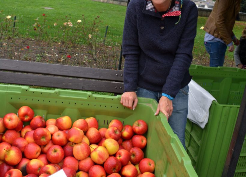 Na trhu jste mohli zakoupit přes 20 druhů jablek