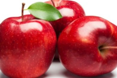 . Ovocnářská unie připravila ochutnávku a ukázku 50 odrůd jablek