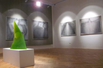 Pohled do výstavy Stanislava Libenského ve zlínském zámku.