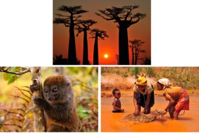 Madagaskar je domovem exotických zvířat.