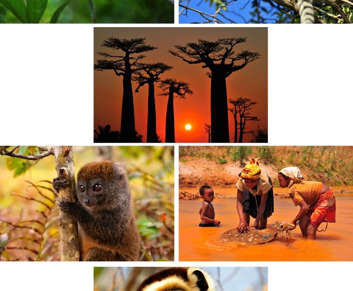 Madagaskar je domovem exotických zvířat.