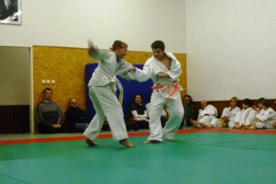 Judo je pěkný bojový sport.
