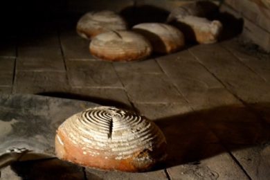 Galerie DOX  pořádá akci s názvem Ochutnejte chlebe o dvou kůrkách