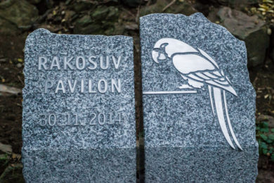 Základní stavební kámen nového pavilonu exotických ptáků – Rákosova pavilonu.