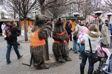 Potkani zaplavují Prahu a varují před nepořádkem v ulicích