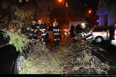 Hasiči v noci odstraňovali spadlý strom na pražských Vinohradech