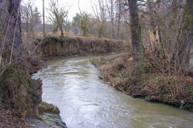 Okolí pražského potoka potřebuje po zimě uklidit