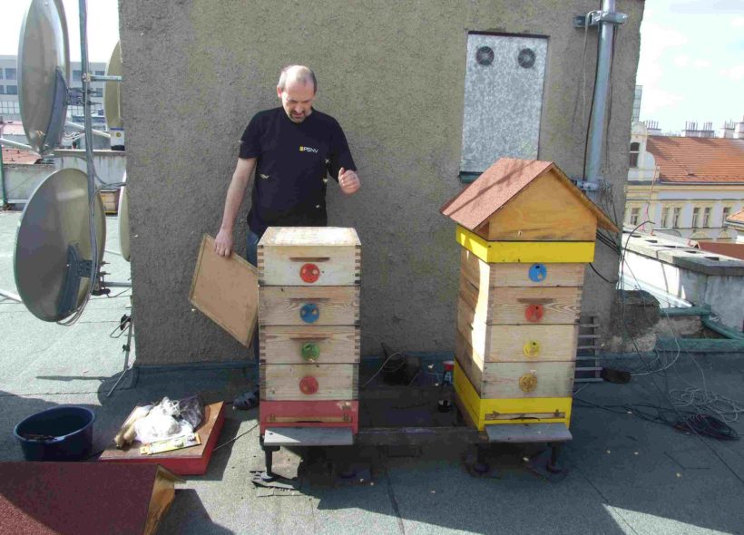 Tak to vypadají úly na střeše ve Veletržní ulici.