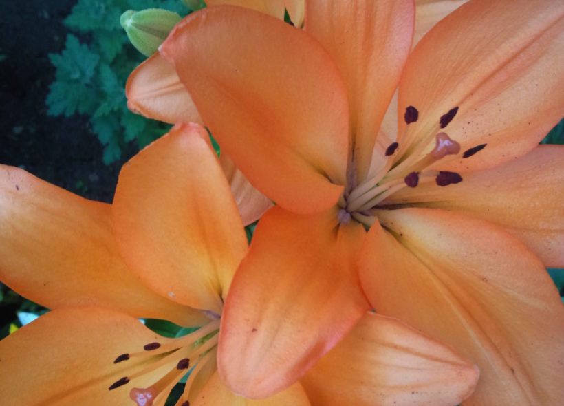 Věčnost ve fotografii