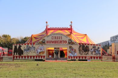 Nejslavnější cirkus v Evropě - Cirkus Humberto najdete až do 22. listopadu na Proseku