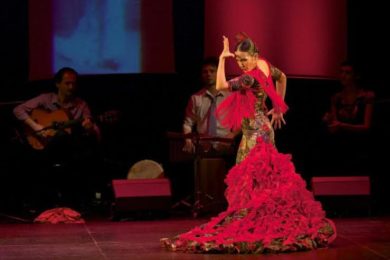 Na neděli 15. listopadu připravili organizátoři exhibiční vystoupení flamenkových souborů, koncert kapely Flamenco Experience Sextet, flamenco-latino diskotéka, španělské delikatesy, flamenkové lekce