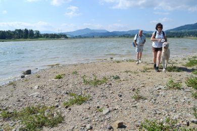 Přehrada Olešná mí historicky nejnižší hladinu vody kvůli těžbě sedimentů.