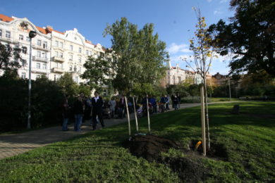 Sázení stromky Heroldovy sady