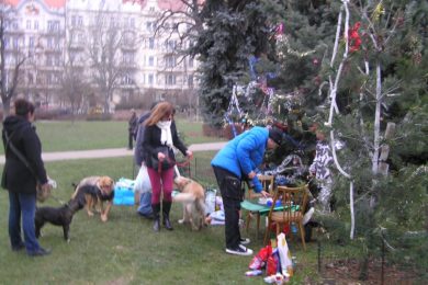 Vršovice a jeho obvyklý vánoční stromek pro psy