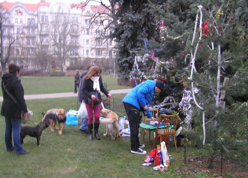 Vršovice a jeho obvyklý vánoční stromek pro psy