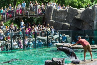 V roce 2016 prošlo branami Zoo Praha 1 448 353 návštěvníků!