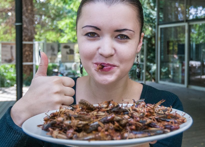 Sobota a neděle bude v Zoo Praha patřit hmyzožravcům. Lidé budou moci ochutnat hmyzí delikatesy.