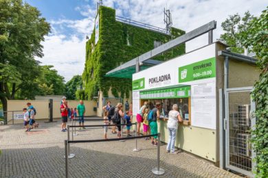 Zoo Praha je pátou nejlepší zoo na světě. Jejími branami za loňský rok prošlo rekordních více než 1,4 milionu návštěvníků.