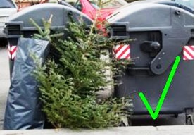 Vánoční stromky odkládejte vedle nádob na odpad.
