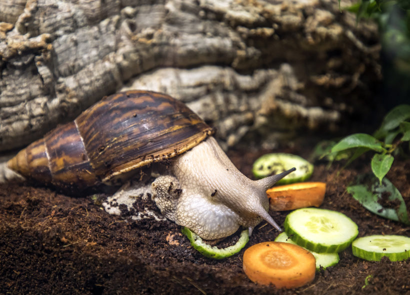 Každou neděli se mohou návštěvníci těšit i na komentované prohlídky.