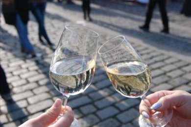 Svá mladá vína letos představí 30 českých a moravských vinařství