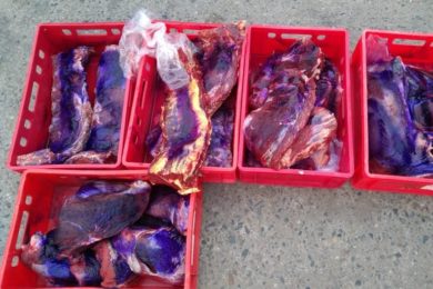 Zdržené maso bylo znehodnoceno barvou zdroj Veterinární správa ČR