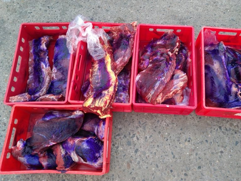 Zdržené maso bylo znehodnoceno barvou zdroj Veterinární správa ČR