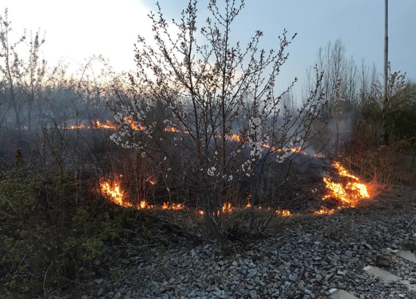 Takhle hořelo 13,4. na Zličíně,  horšíby to bylo v lese. FotoZdroj hasičiPraha