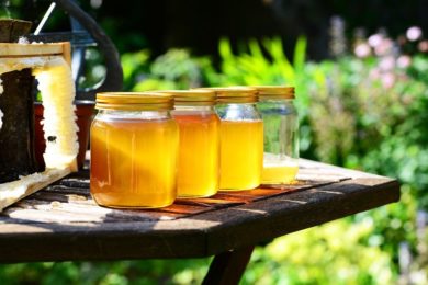 Medový den na Kubáni oslaví 21. září od 9 do 14 hodin letošní medovou úrodu
