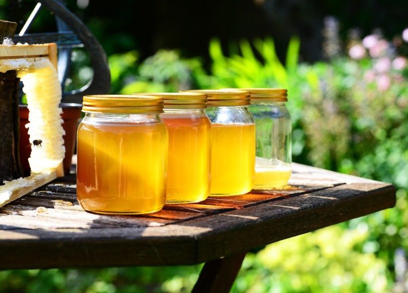 Medový den na Kubáni oslaví 21. září od 9 do 14 hodin letošní medovou úrodu